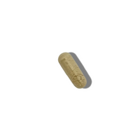 Astragalus Extract 500mg(30P)