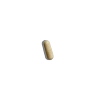 Digestive Enzymes Proprietary blend 196mg (30P)