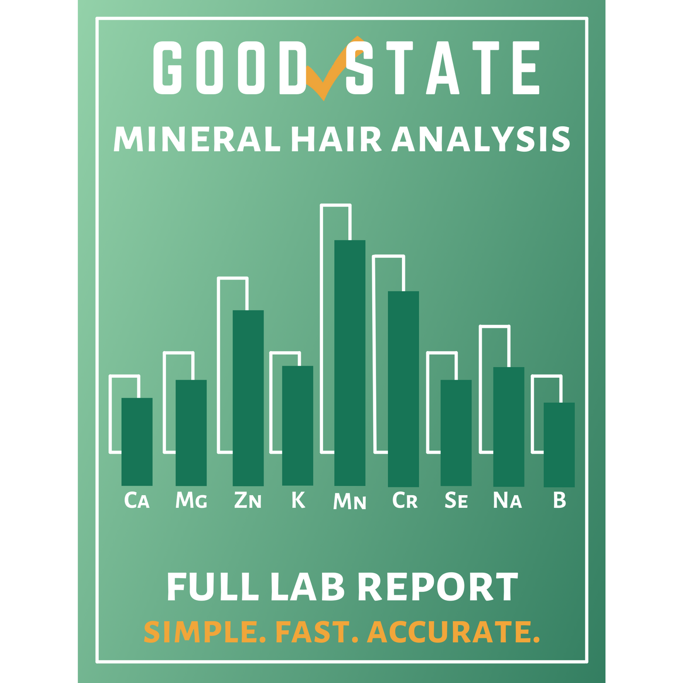 Good State Personalized Health Program with Hair Analysis & Consultation